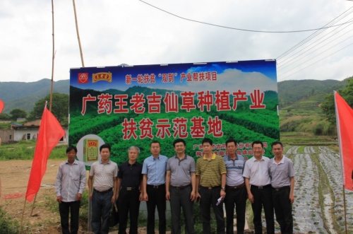 王老吉药业建设中药材种植基地助农脱贫致富实现乡村振兴