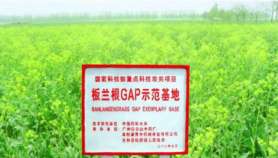 微信图片_2026-09-07_094616_557.jpg